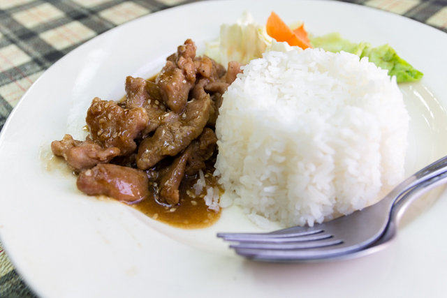 Fried Teriyaki Pork with rice