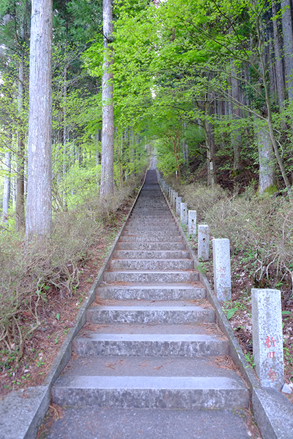石割神社への階段