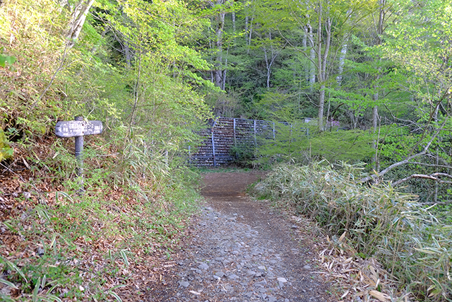 石割神社への登山道
