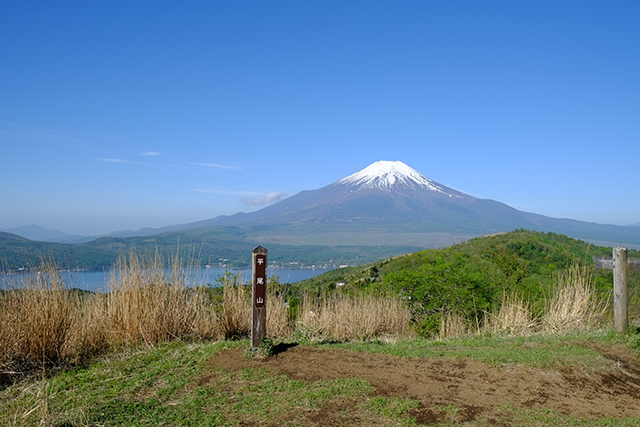 平尾山からの富士山