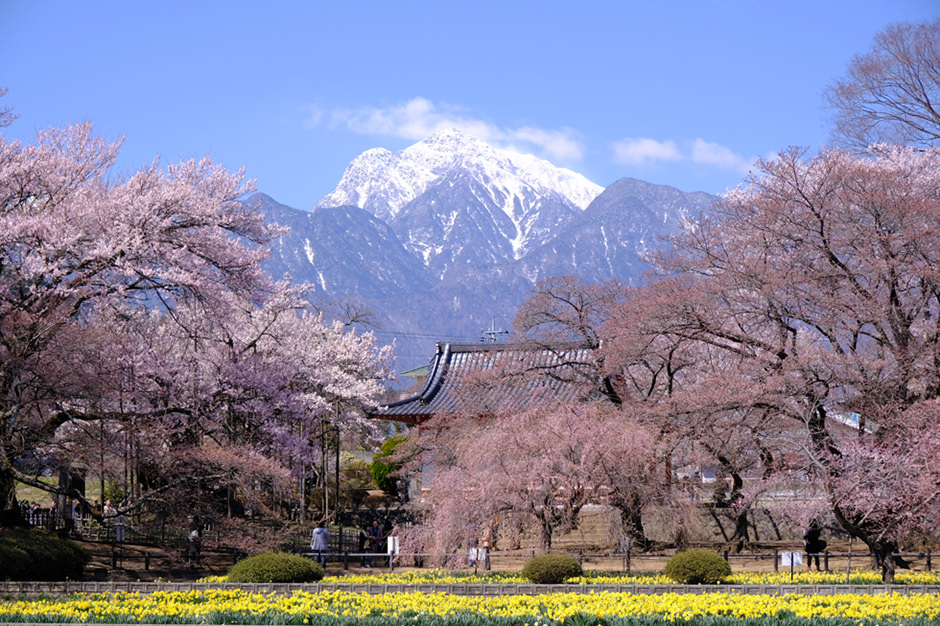 実相寺から見た甲斐駒ヶ岳