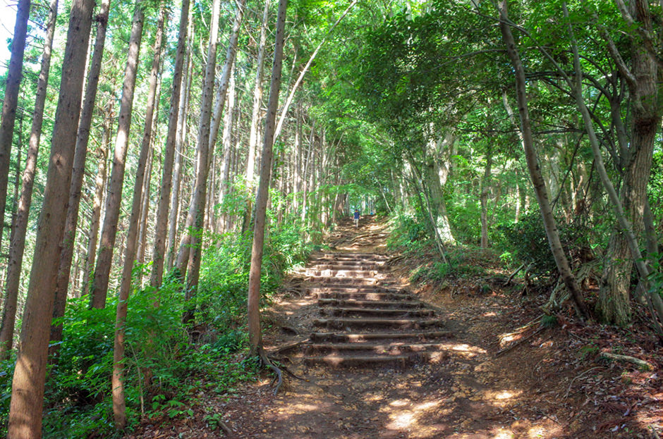 稲荷山コース
