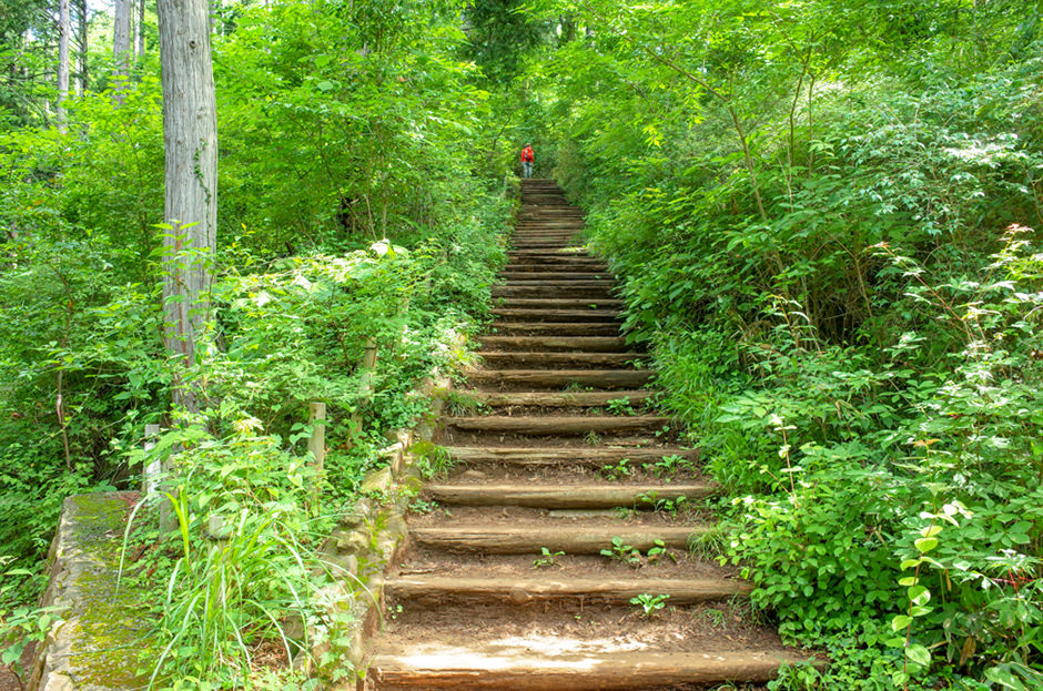 稲荷山コース