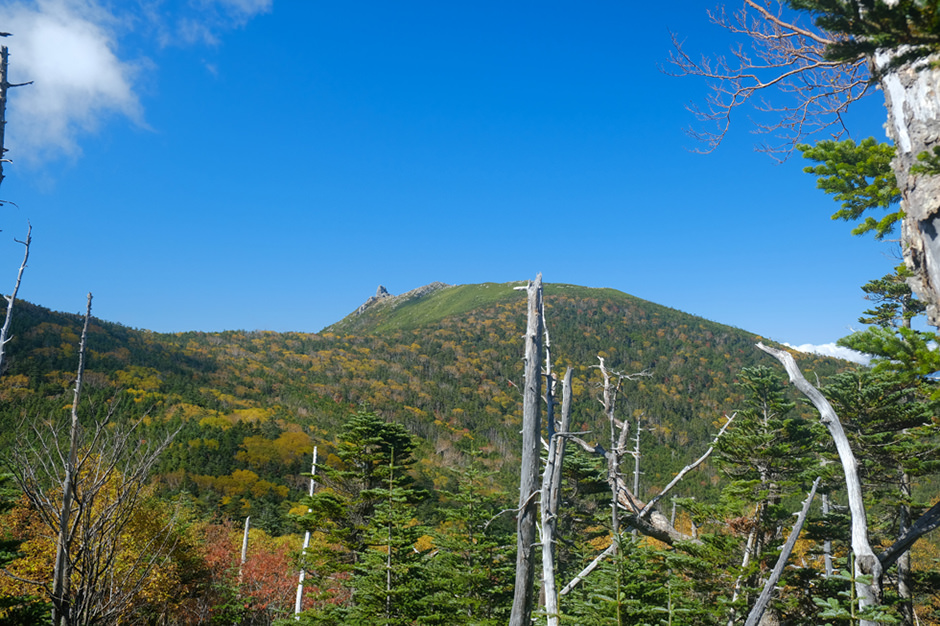 紅葉の金峰山